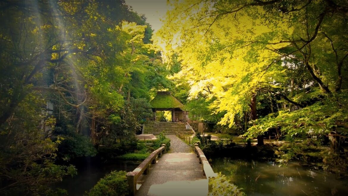 【美しい秘密の寺社を歩く⑩】京都癒しのさんぽ9/6(火)/Relax walk! Kyoto secret temple 【美しい秘密の寺社を歩く⑩】京都癒しのさんぽ9/6(火)/Relax walk! Kyoto secret temple