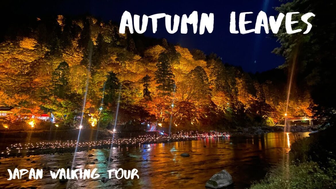 Japan Walk Tour【Korankei】Illuminated autumn leaves at night, Toyota Japan Walk Tour【Korankei】Illuminated autumn leaves at night, Toyota