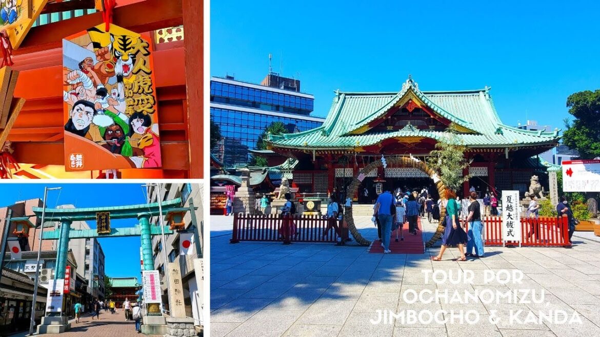 Vamos de TOUR por OCHANOMIZU, JIMBOCHO & KANDA - ASMR Vlog TOKYO