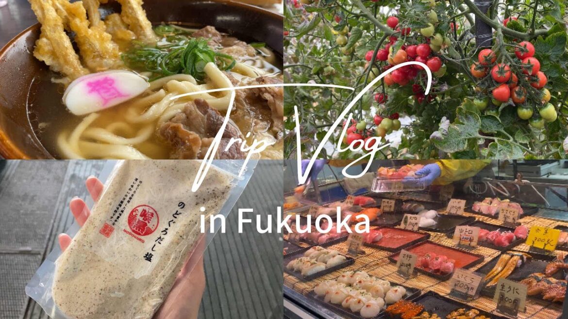 【福岡北九州観光】元CA |子連れ旅行必見！知る人ぞ知る穴場観光スポットと人気グルメ| 主婦vlog |japanvlog||門司港|北九州旅行 japan trip|travel vlog