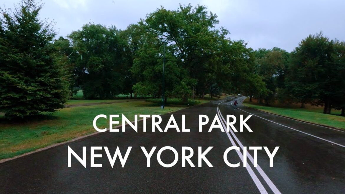 Rain Walk in New York City [4K] Central Park | Rain Ambience | Umbrella ASMR & Nature Sounds