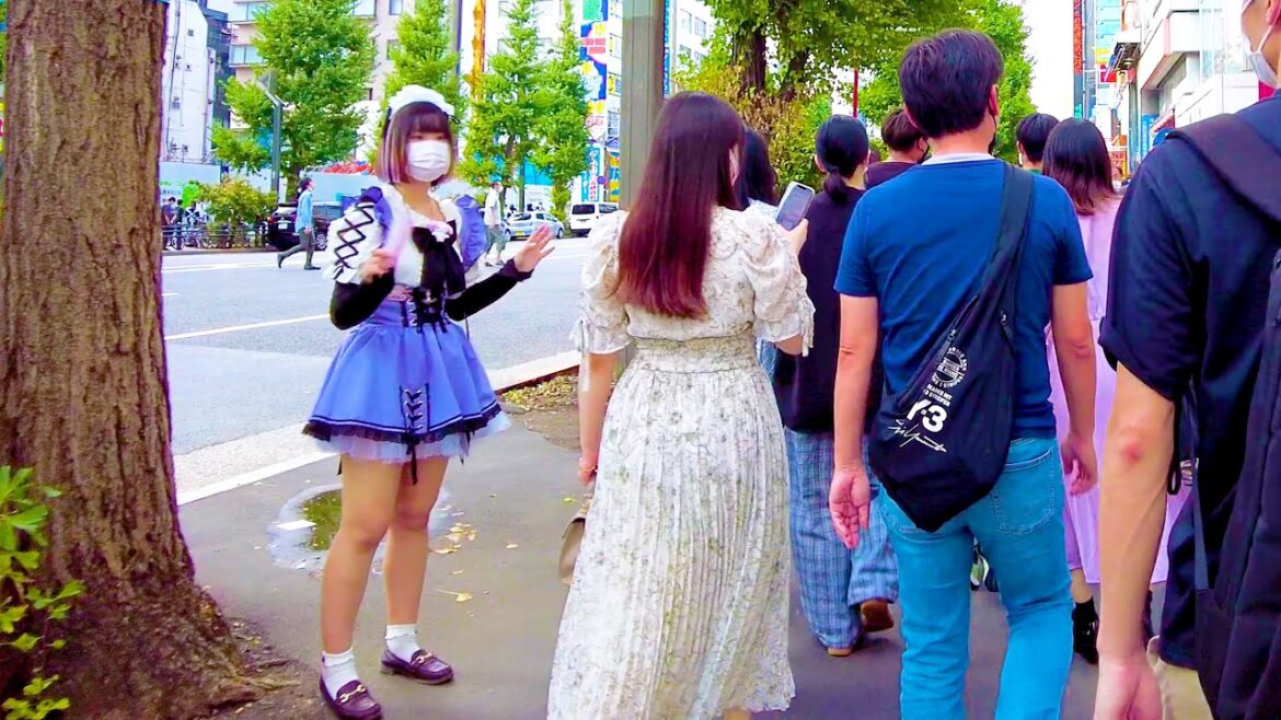 Akihabara in Tokyo. Maid cafe, cosplay, games, etc.♪💖🐶4K ASMR non-stop 1 hour 02 minutes