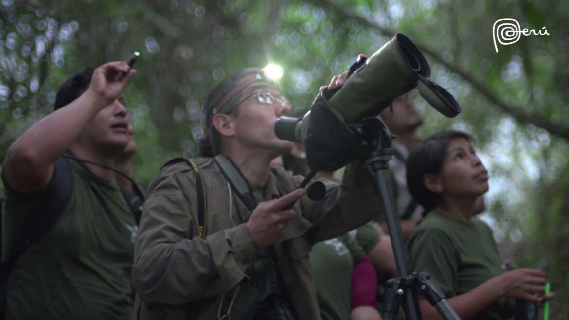 Birdwatching in Peru: Awaken Your Birding Horizons in Peru Birdwatching in Peru: Awaken Your Birding Horizons in Peru
