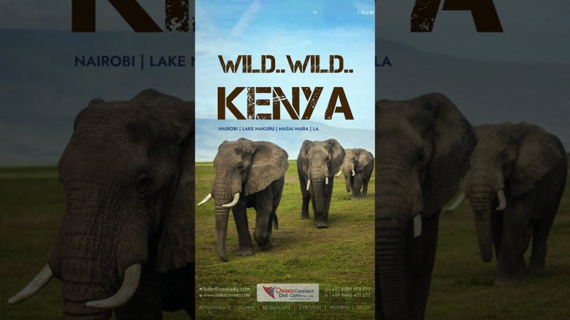 Join Us for the Adventure Trip to #kenya on OCT 16 | Kenya Tour Package | Book Now with Osaka Group Join Us for the Adventure Trip to #kenya on OCT 16 | Kenya Tour Package | Book Now with Osaka Group