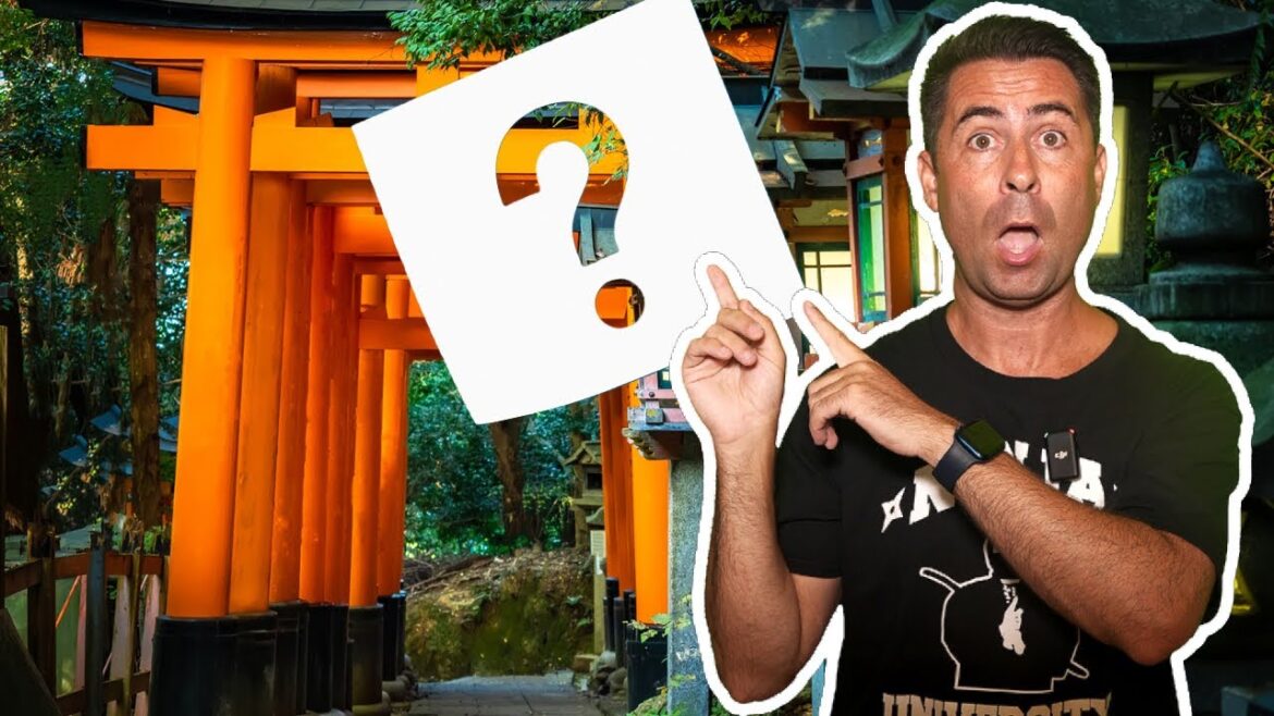 JAPAN ENTRY - Your Questions ANSWERED! | JAPAN Travel Update 2022