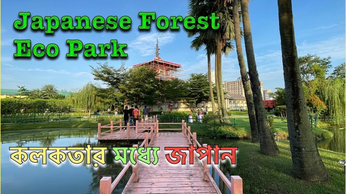 Japanese Forest Eco Park Newtown | Eco Park Japanese Restaurant | Japanese Pagoda