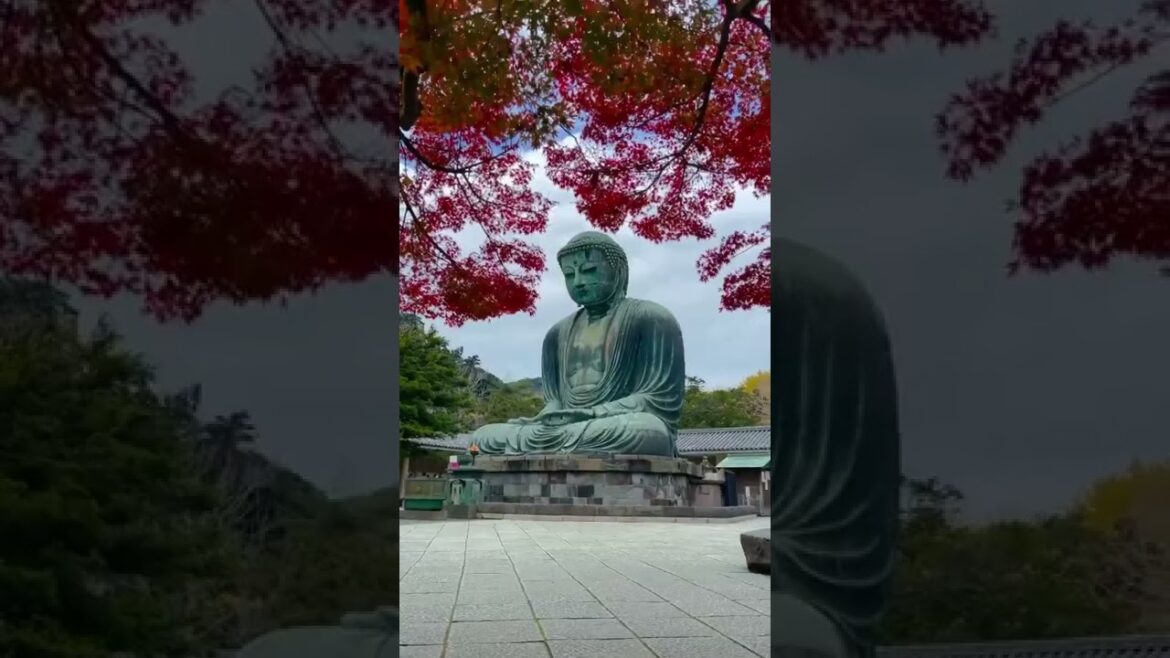 Buddha in autumn colors 🍁 Kamakura, Japan 🇯🇵 I Travel Moments | #Shorts Buddha in autumn colors 🍁 Kamakura, Japan 🇯🇵 I Travel Moments | #Shorts