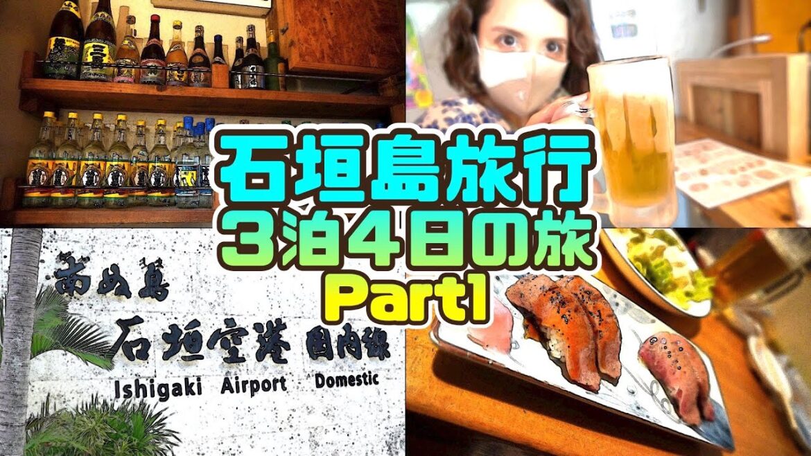【石垣島旅行1日目】琉球の酒と美食にヨロレイヒー♪（沖縄県石垣市）