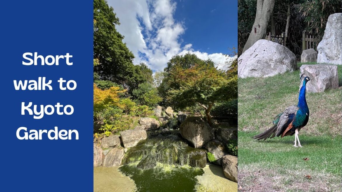 Short Walk to Kyoto Garden, Holland Park, London | #London #England #UK
