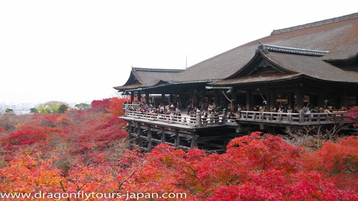 Come Tour Japan Right Now! Come Tour Japan Right Now!