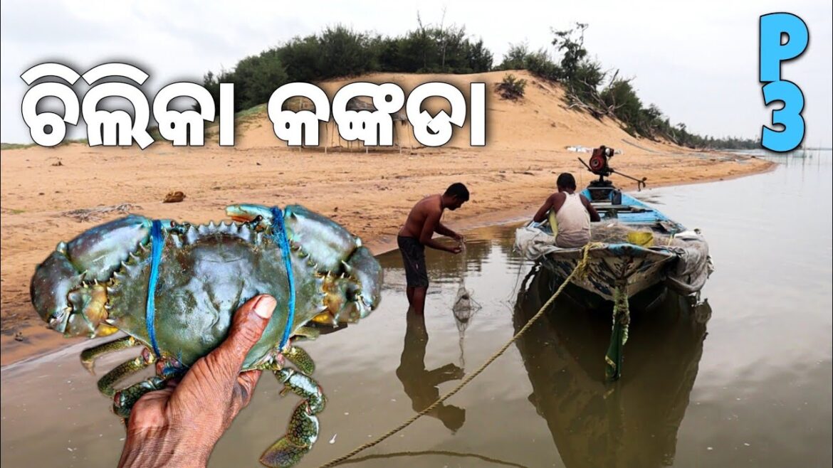 Adventurous Rajhans Island & Beautiful Classic Beach || Sipakuda Chilika Lake || Sea Mouth -03/03