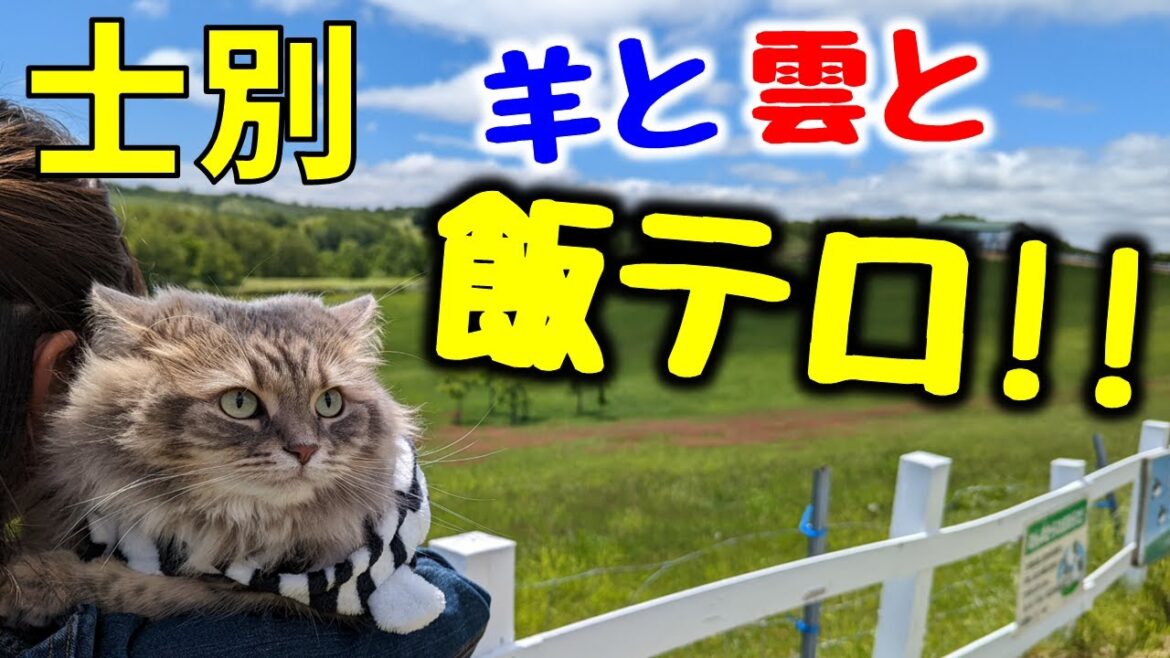 羊のまち士別へドライブ！道の駅の絶品グルメや観光スポット巡り♪【北海道】