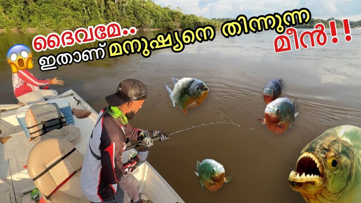 EP #04 Amazon’s Deadliest Fish “Piranha” | അനാക്കോണ്ട പിടിച്ചില്ലേൽ നാളെ കാണാം...
