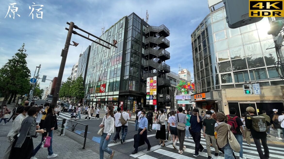 【⁴ᴷ HDR Tokyo】41-minutes walking tour in Harajuku👕 【⁴ᴷ HDR Tokyo】41-minutes walking tour in Harajuku👕