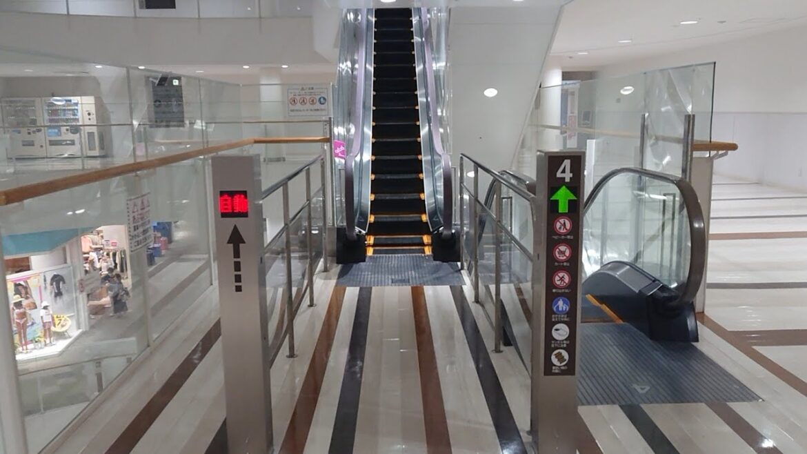 2基【エスカレーター】イオンモール草津 セントラルコート 昇りの始動あり【Escalator】AEON MALL 自動 2基【エスカレーター】イオンモール草津 セントラルコート 昇りの始動あり【Escalator】AEON MALL 自動