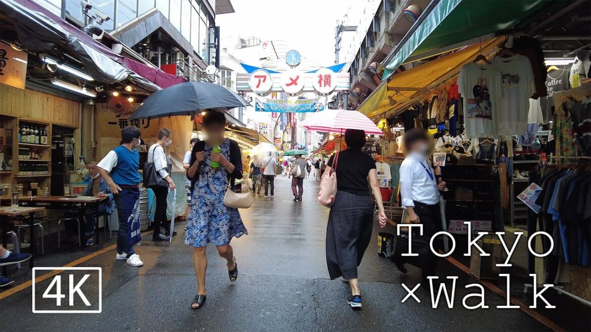 【4K】上野/Tokyo × Walk(Ueno/東京散歩) 【4K】上野/Tokyo × Walk(Ueno/東京散歩)