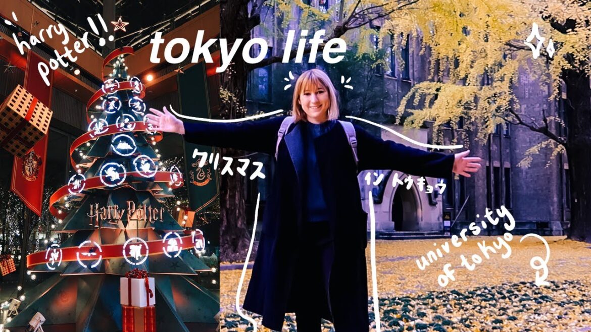 living in japan | harry potter christmas lights ๐& fall at the university of tokyo ๐ living in japan | harry potter christmas lights ๐& fall at the university of tokyo ๐