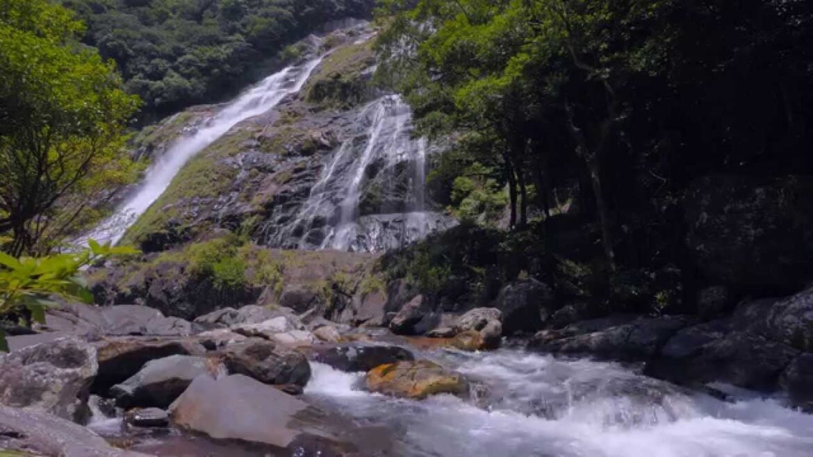 Waterfall Relaxation 60min 4K (Ultra HD)