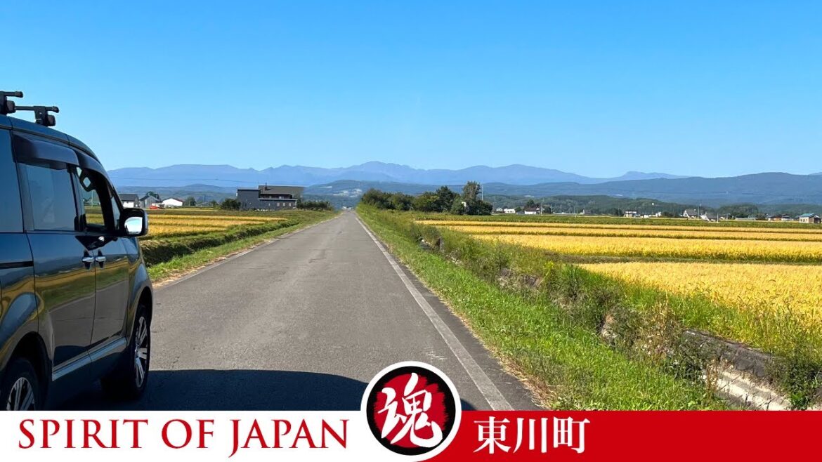 Beautiful Drive on Beautiful Island in Japan | Hokkaido