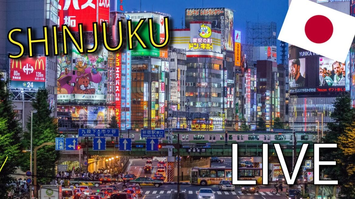 SHINJUKU w TOKIO wieczorem  LIVE Spacer po Japonii SHINJUKU w TOKIO wieczorem  LIVE Spacer po Japonii