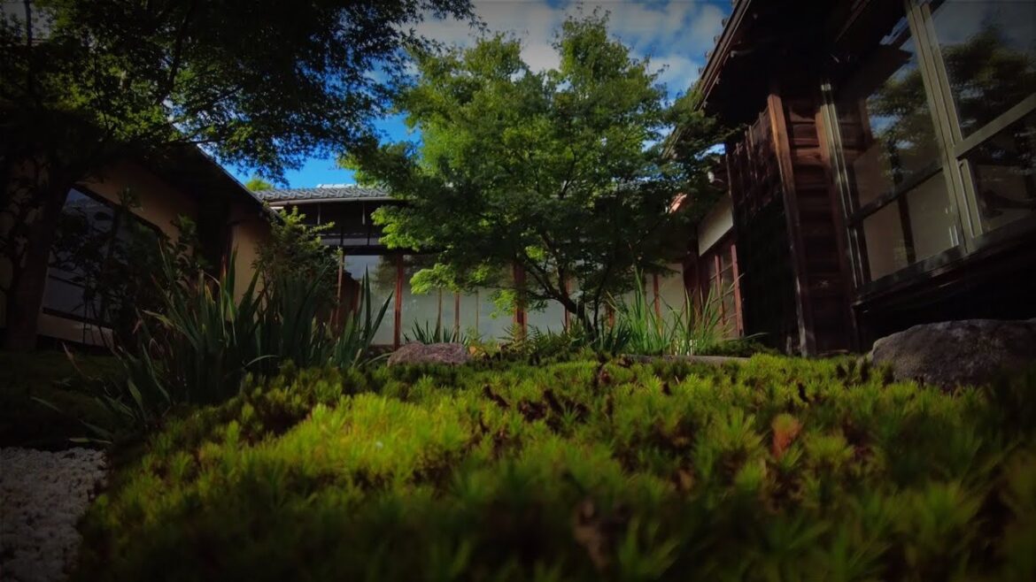 【美しい秘密の寺社を歩く⑪】京都癒しのさんぽ9/7(水)/Relax walk! Kyoto secret temple