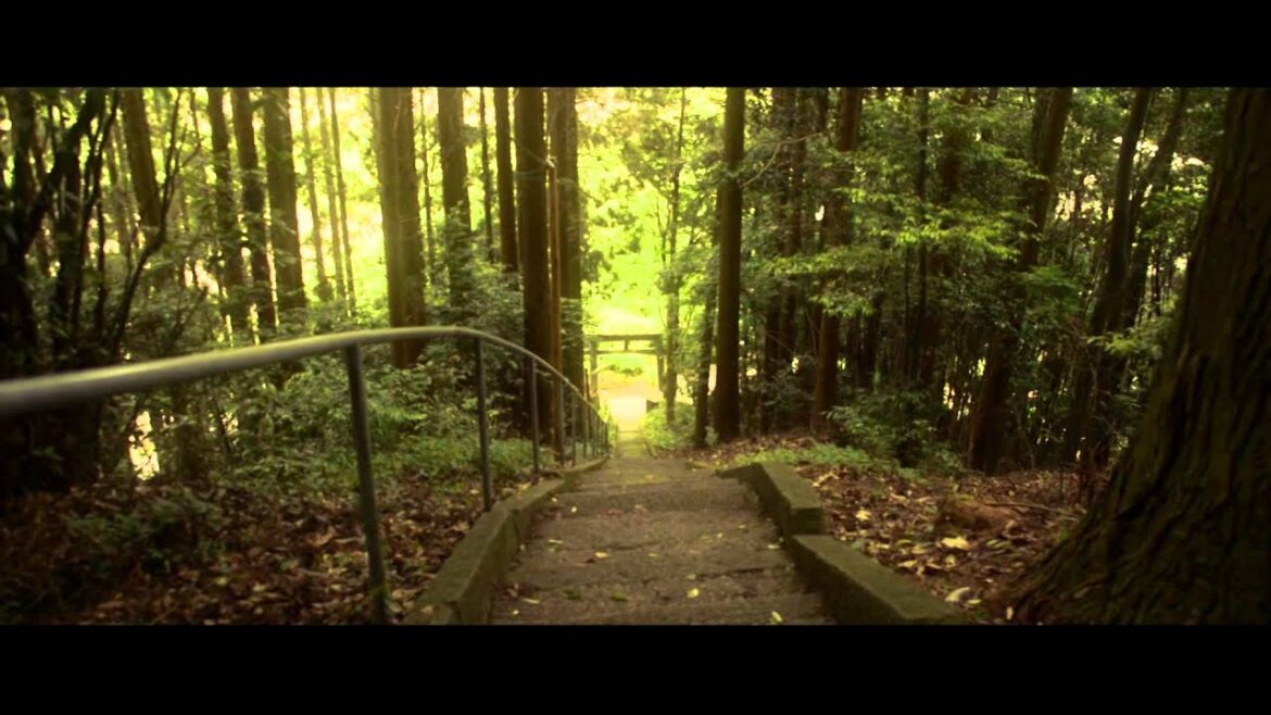 そうだ神社に行こう！#04 雨宮神社 Let's go to the shrine. #04 the Amamiya Shrine(japan kumamoto)