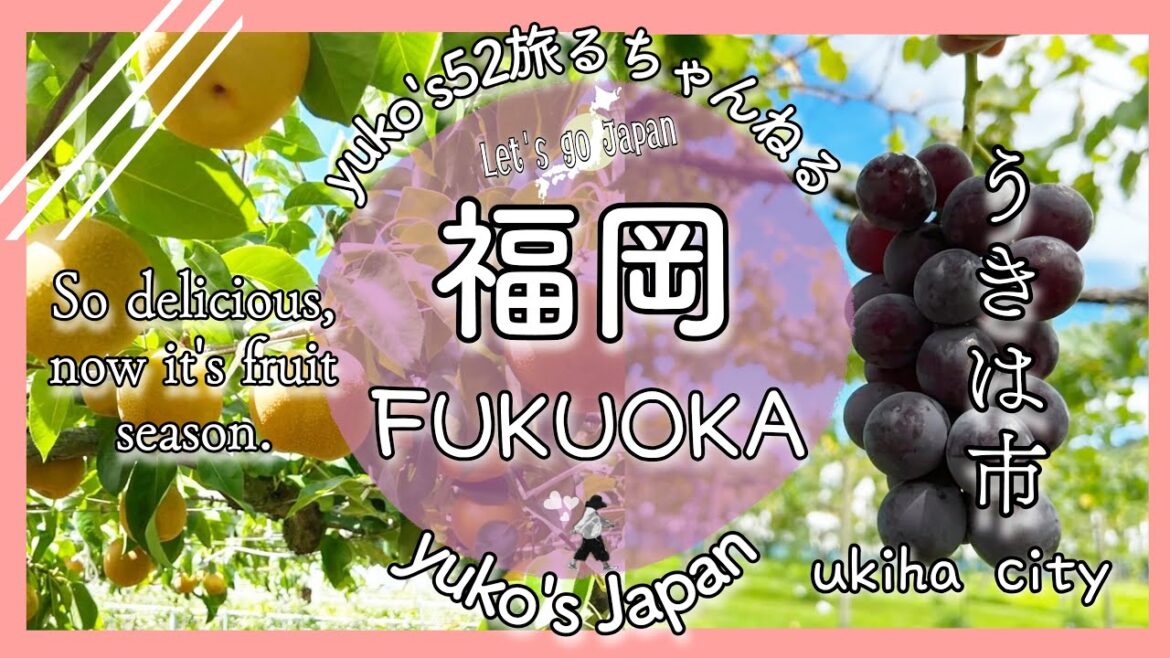 【大人の遠足40】Fukuoka/福岡/The world's most delicious Japanese fruit./Prefecture, the best fruit field. 【大人の遠足40】Fukuoka/福岡/The world's most delicious Japanese fruit./Prefecture, the best fruit field.