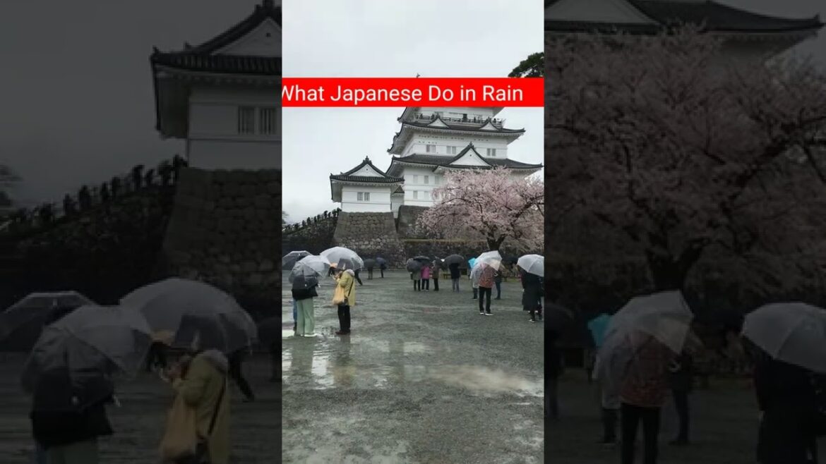 What Japanese Do In Rain !! 😊😊 Japan Tour  #japan #shorts #travel #rain #japanlife