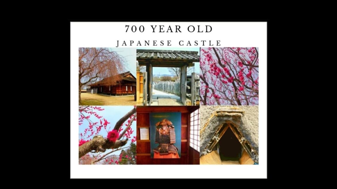 Living in Japan | Casual Castle Tour | Nejo Castle Vlog