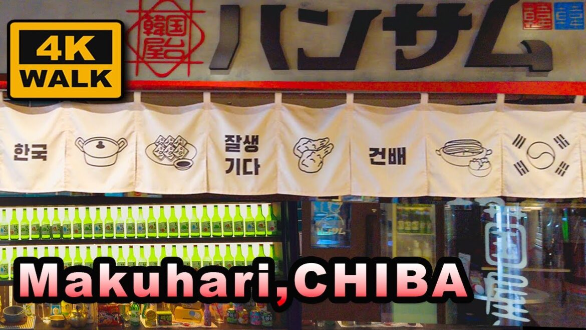 방구석힐링 4K:랜선걷기🚶🏼생각지도 못한 곳에서 한글을 만나면 아직도 촌스럽게 반갑다 | 치바,마쿠하리💖4K Virtual Walk