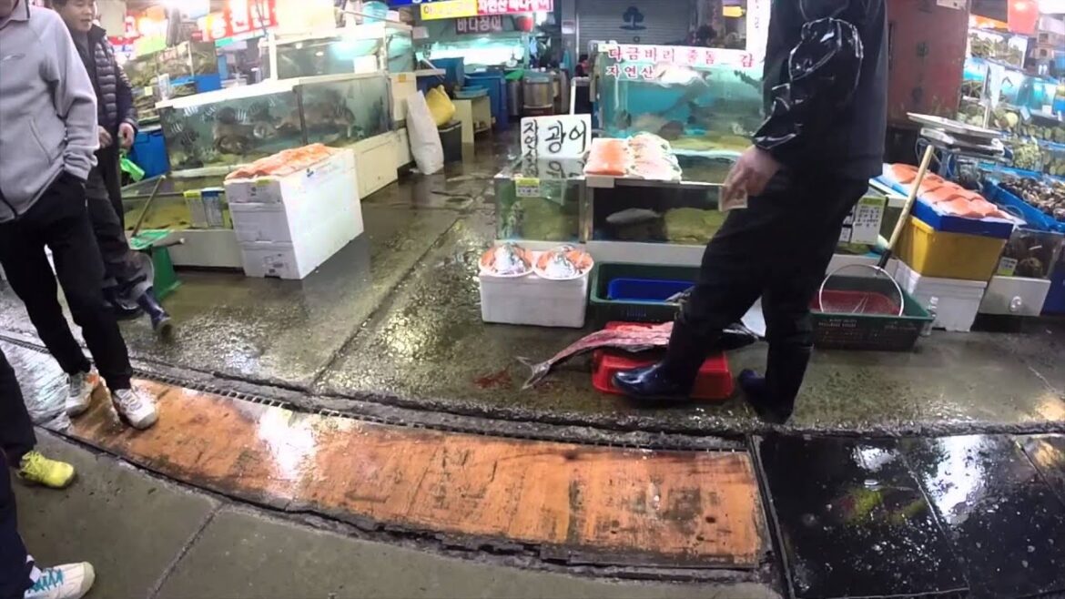 Noryangjin Fish Market in Seoul (Live Octopus Eating)