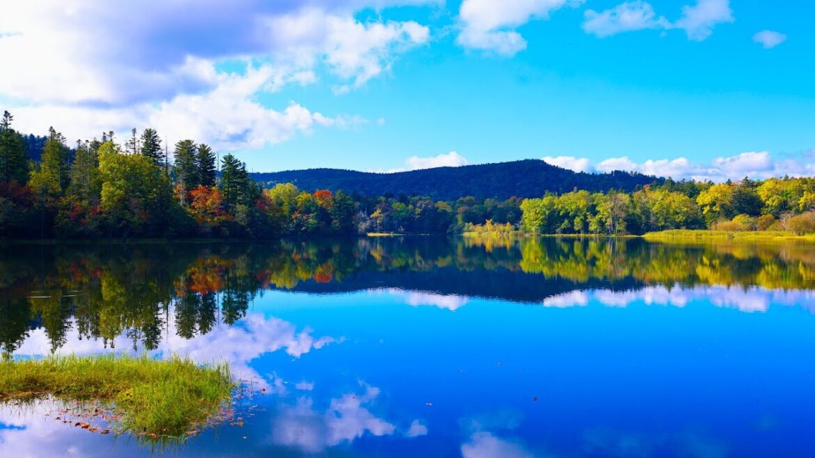 8K HDR 北海道 阿寒湖 マリモ(特別天然記念物)と豊かな自然を学ぶ Hokkaido,Akan,Marimo(Special Natural Monument) and Rich Nature