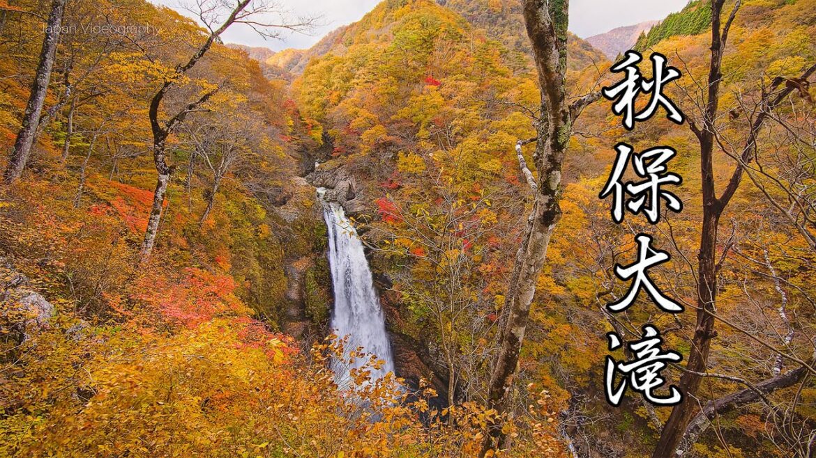 5K 秋保大滝 紅葉 - Beautiful Autumn Leaves at Akiu Waterfall - SENDAI JAPAN- 宮城観光 美しい仙台の風景