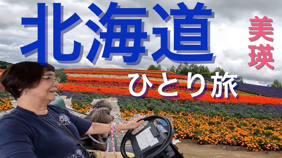 キャンピングカーで【北海道ひとり旅】富良野　美瑛　四季彩の丘　犬達と北海道を満喫しています