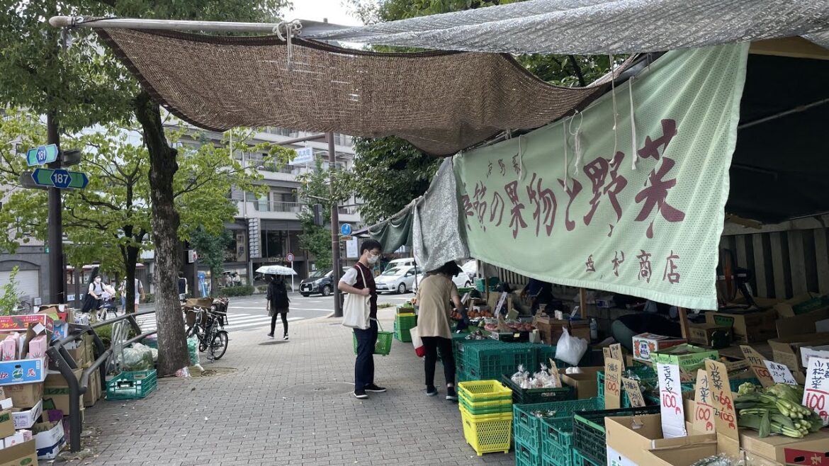 【4K】Kyoto Walk🇯🇵/Higashioji/東大路/百万遍/京都/散歩