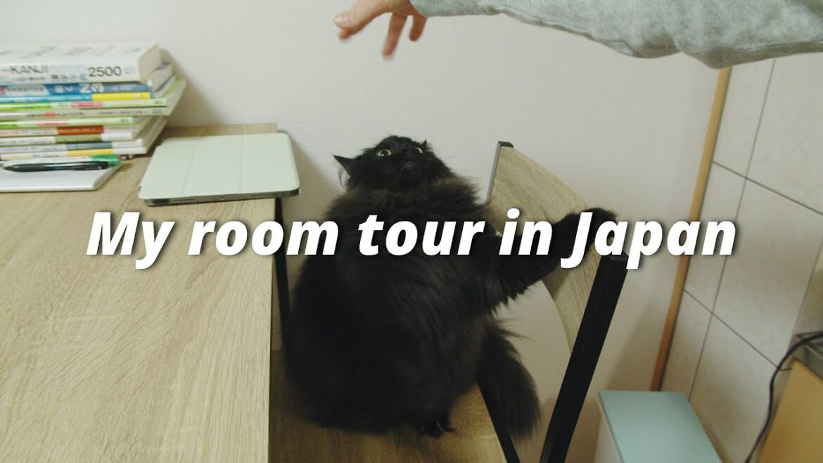 Japanese apartment tour