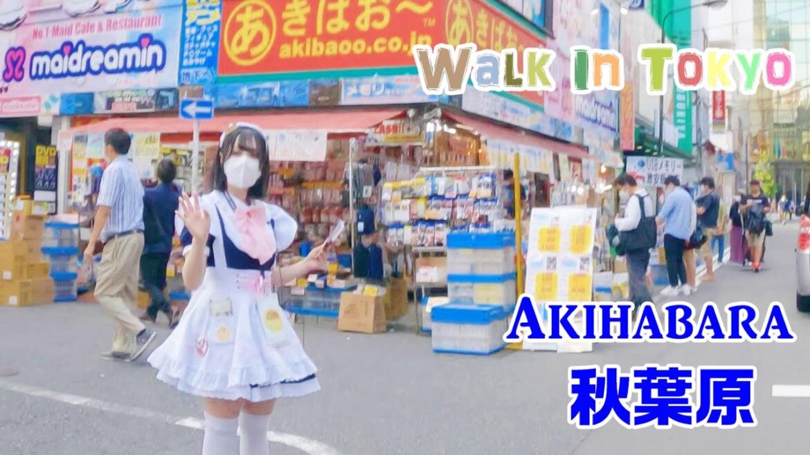 【4K Tokyo Walk】Akihabara Walk　秋葉原散歩　아키하바라　อากิฮาบาระ　　【東京散歩】2022/9/5