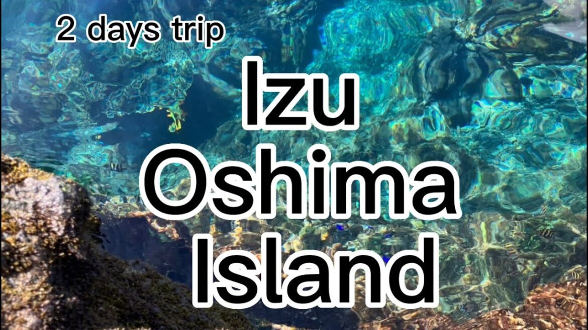 Izu Oshima Island | 伊豆大島| Japan Travel Vlog | 2022 Izu Oshima Island | 伊豆大島| Japan Travel Vlog | 2022