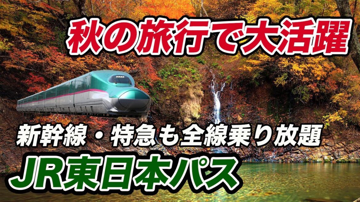 【超絶お得】JR東日本パス 秋の鉄道旅行におすすめ！