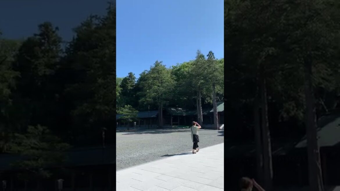【Tradition of Japan】Hokkaido Jingu Shrine#shorts
