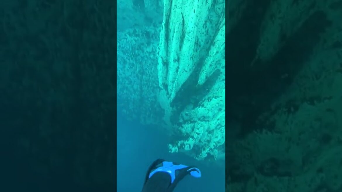 Would you dive at Barracuda Lake, Coron, Philippines? | beautiful places in the world #Shorts