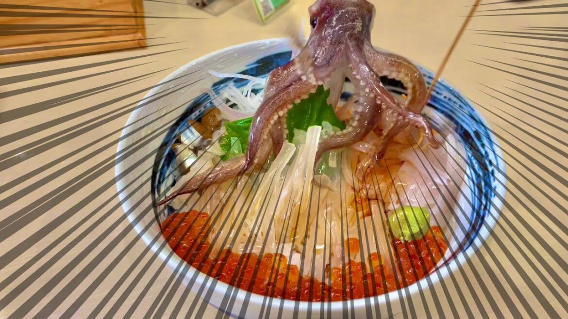 【約半額】イカが逃げ出した！？格安の函館観光ひとり旅Day1🦑函館山の夜景はあきらめた！【1泊2日】