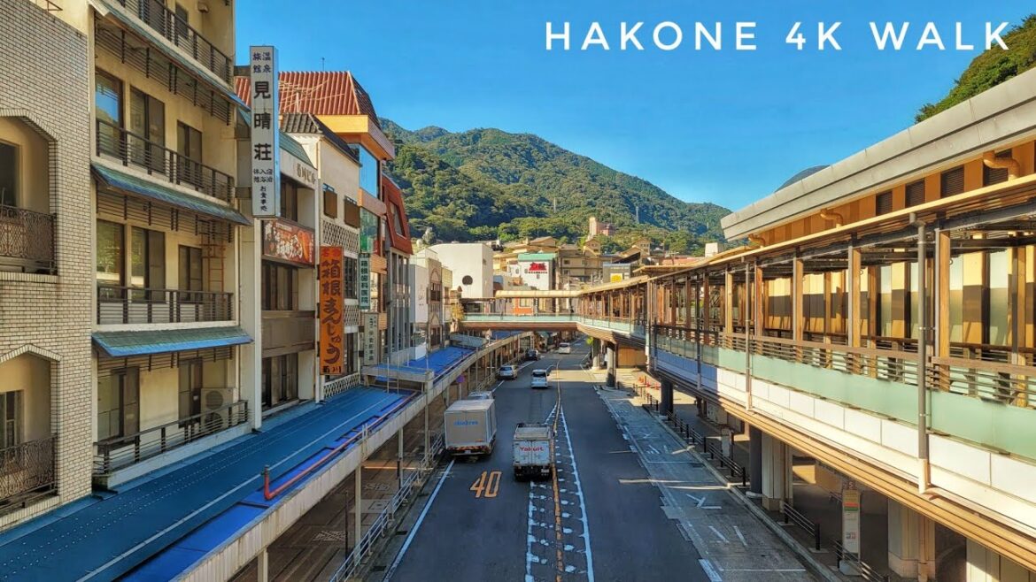 Hakone, Japan 🏞️ Early Morning Walk (and Cat Encounter) 🐱 箱根湯本散歩 4K