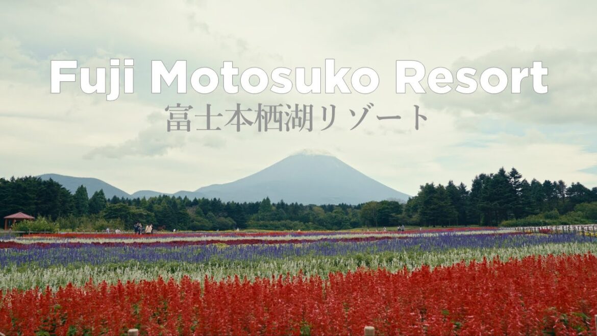 Beautiful Rainbow Garden with a view of Mt. Fuji｜Fuji Motosuko Resort