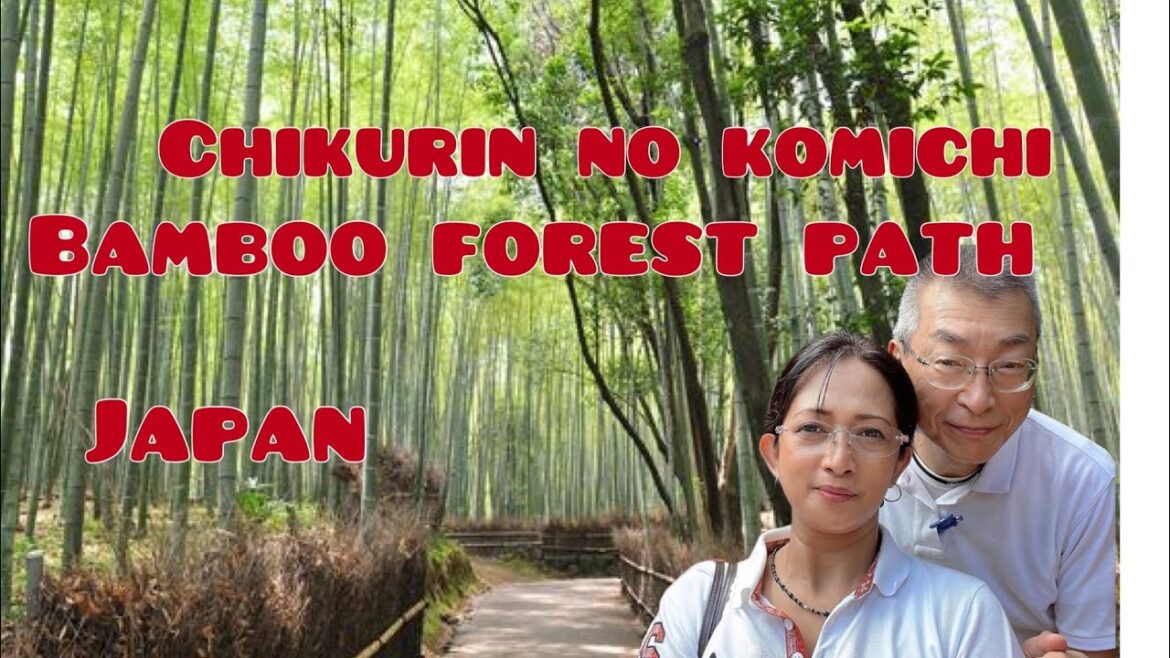 CHIKURIN NO KOMICHI OR BAMBOO FOREST PATH & KATSURA BRIDGE AT ITO SHIZUOKA JAPAN CHIKURIN NO KOMICHI OR BAMBOO FOREST PATH & KATSURA BRIDGE AT ITO SHIZUOKA JAPAN