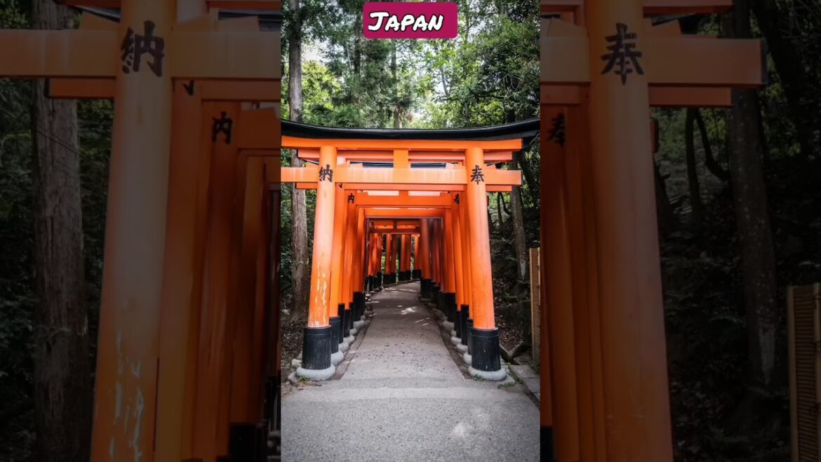 Travel Japan Kyoto #travel#japan#shorts #japantravel#kyototemple #trending#japanshorts Travel Japan Kyoto #travel#japan#shorts #japantravel#kyototemple #trending#japanshorts