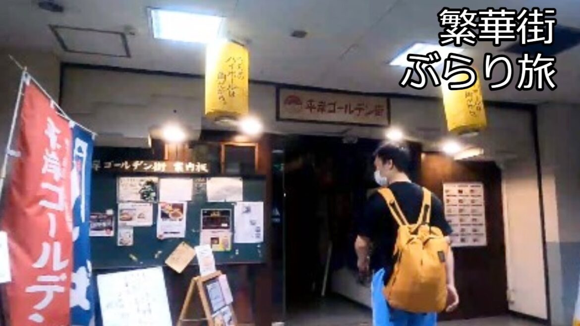 北海道平岸駅のスナック・ガールズバー探し旅:駅直結で2h4千円は安ぅー/繁華街ぶたり旅 北海道平岸駅のスナック・ガールズバー探し旅:駅直結で2h4千円は安ぅー/繁華街ぶたり旅