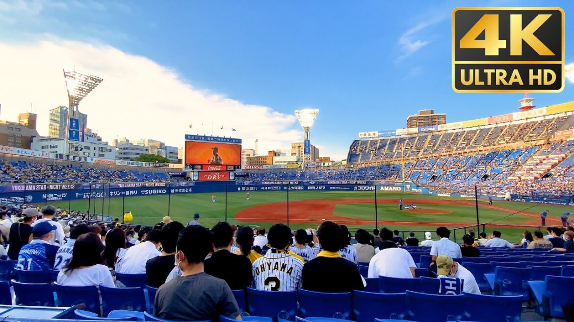 4K Ohtani maniac "Ben Verlander" raves! Yokohama Stadium Guide⚾️