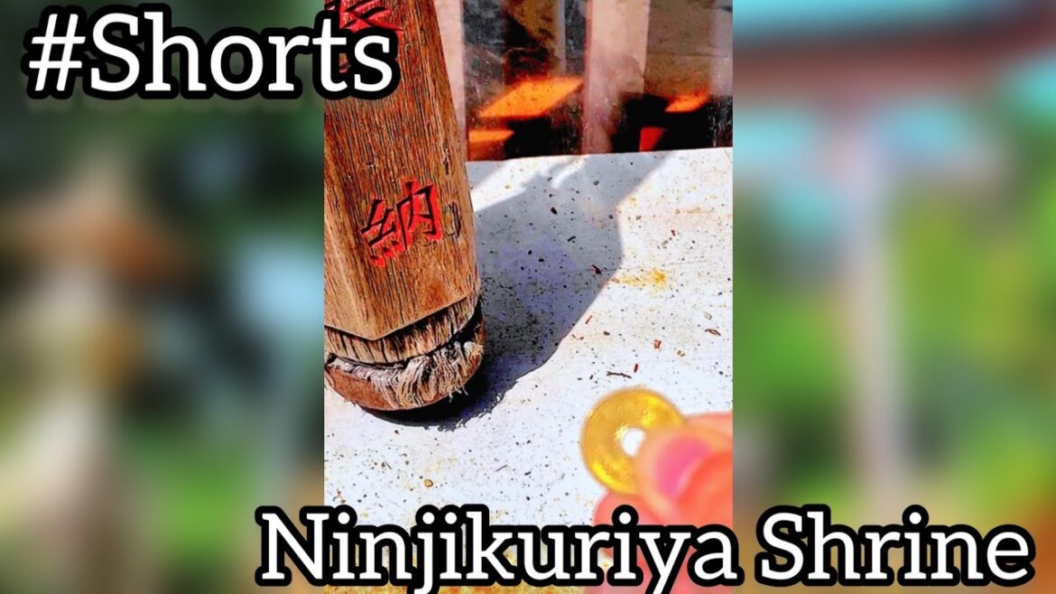 [ Japanese beautiful shrine ] 尼寺厨神社⛩ Ninjikuriya Shrine Japan traveling temple trip #Shorts