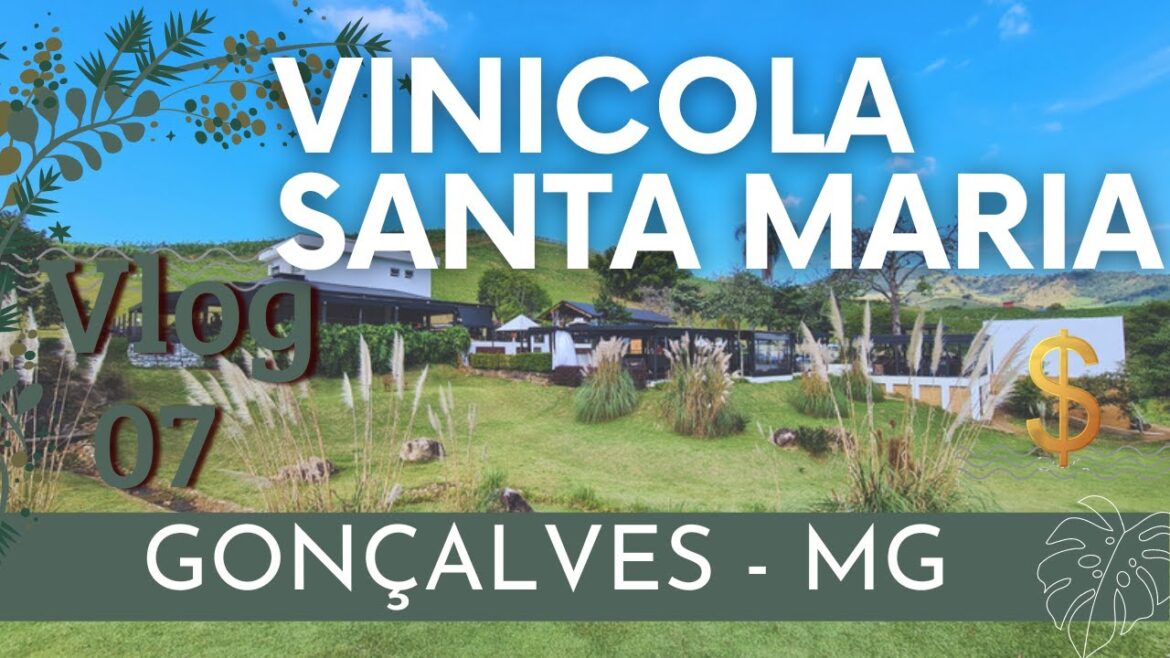 Vinícola Santa Maria Brandina | Vlog – Degustação, Tour guiado e um almoço de milhões $$ Vinícola Santa Maria Brandina | Vlog - Degustação, Tour guiado e um almoço de milhões $$